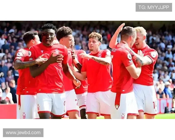 英超联赛因故停赛最新消息分析及影响评估